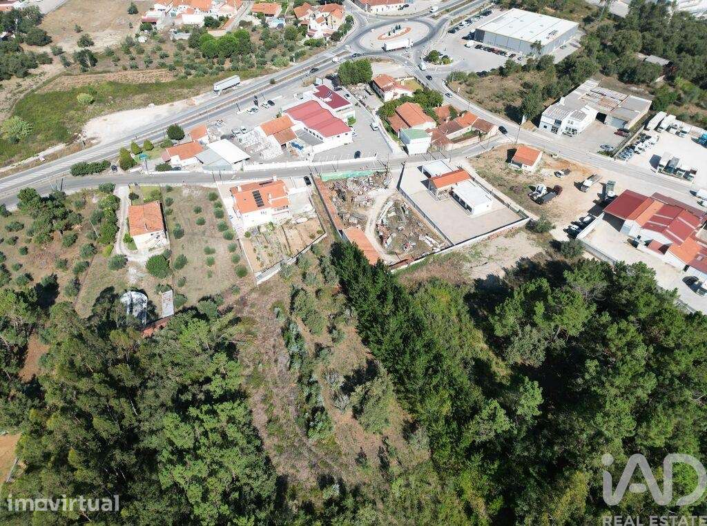 Terreno em Pedreiras - Grande imagem: 4/13