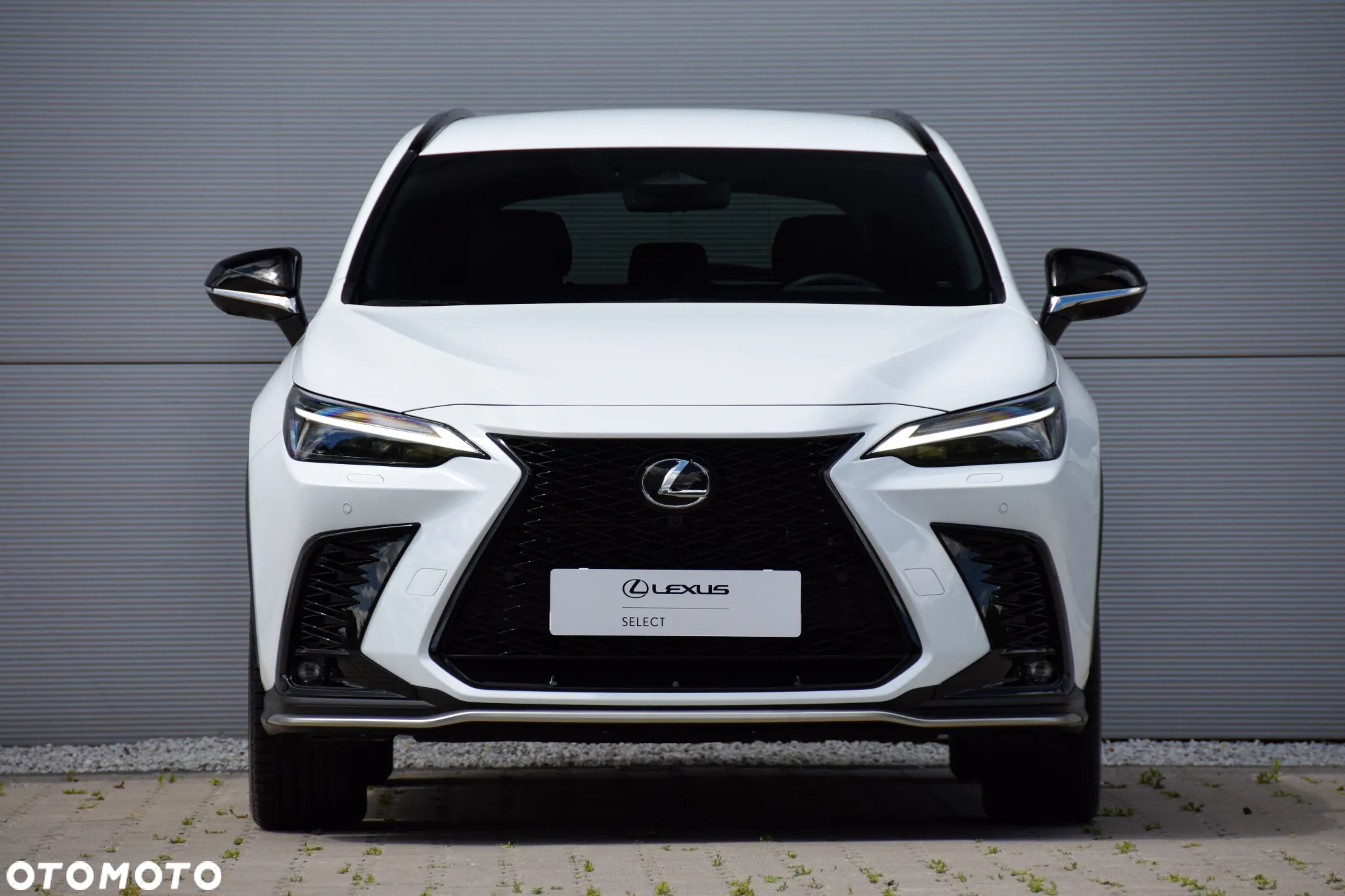 Lexus NX 450h+ F Sport AWD - 14