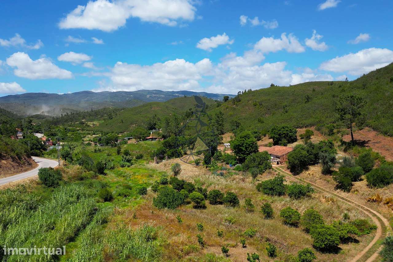 Terreno rústico em Mexilhoeira Grande com cerca de 2,4 ha de horta e s - Grande imagem: 5/16