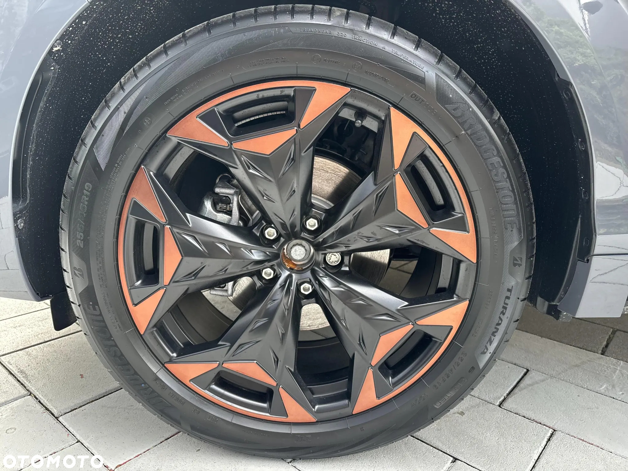 Cupra Terramar - 11