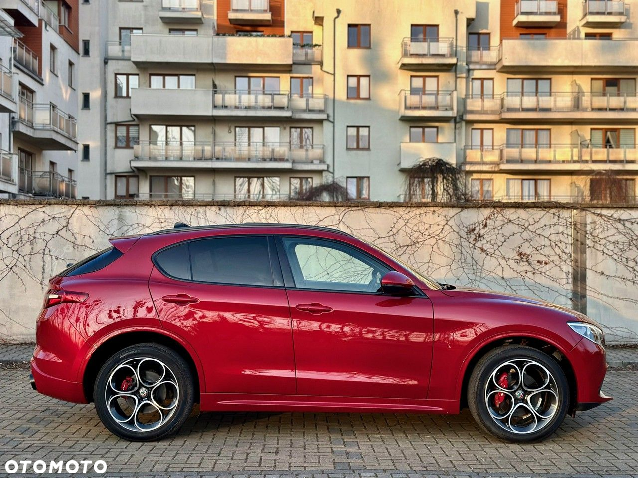 Alfa Romeo Stelvio 2.0 Turbo 16V AT8-Q4 Super - 12