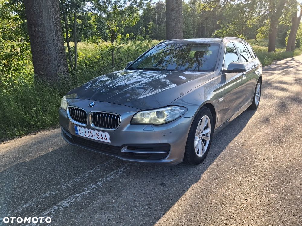 BMW Seria 5 520d Edition Fleet - 1