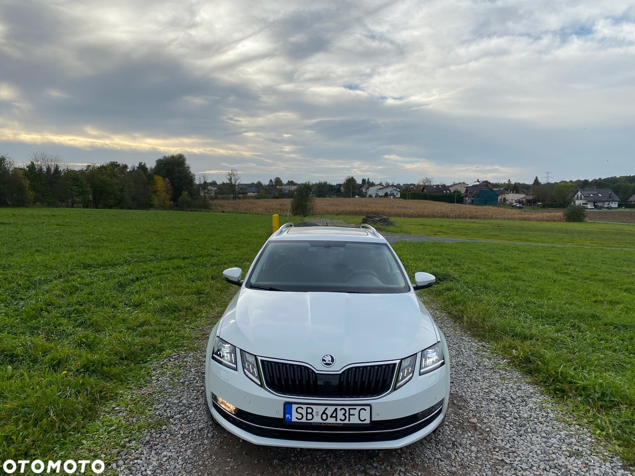 Skoda Octavia 1.6 TDI DSG Style - 3
