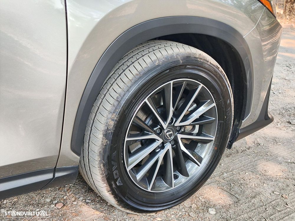 Lexus NX 450h+ Executive - 19