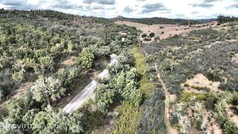 Monte Alentejo - Luzianes GARE - Grande imagem: 3/3