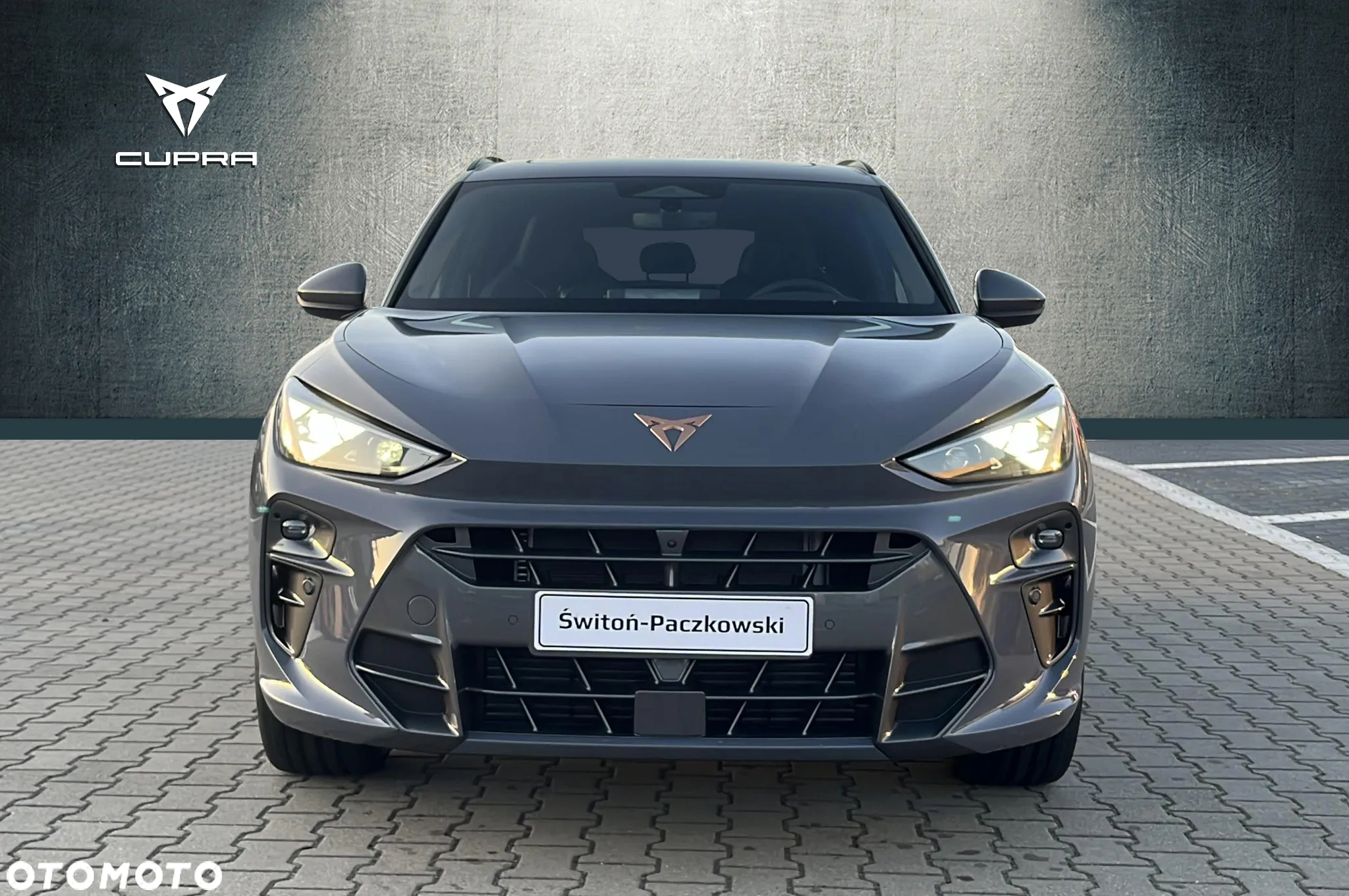 Cupra Terramar 2.0 TSI 4Drive DSG - 3