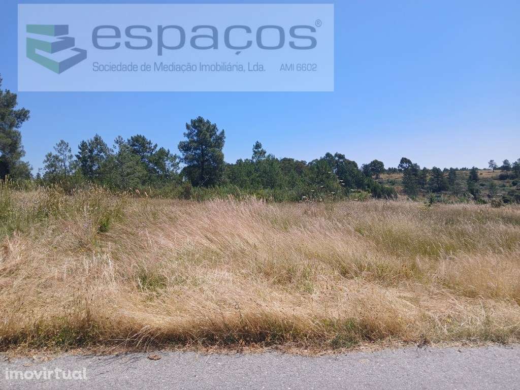 Terreno Rustico a 15km de Castelo Branco - Grande imagem: 4/9