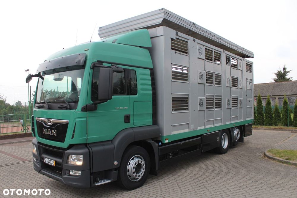 MAN TGS 26.440 DO ŻYWCA ZWIERZĄT BYDŁA Z NIEMIEC - 1