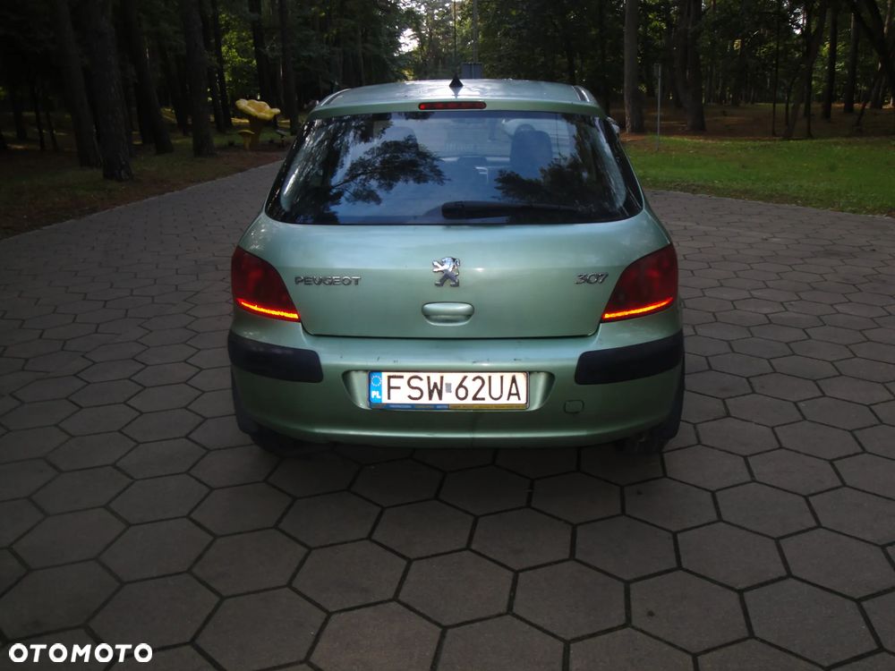 Peugeot 307 1.6 XS Class - 4