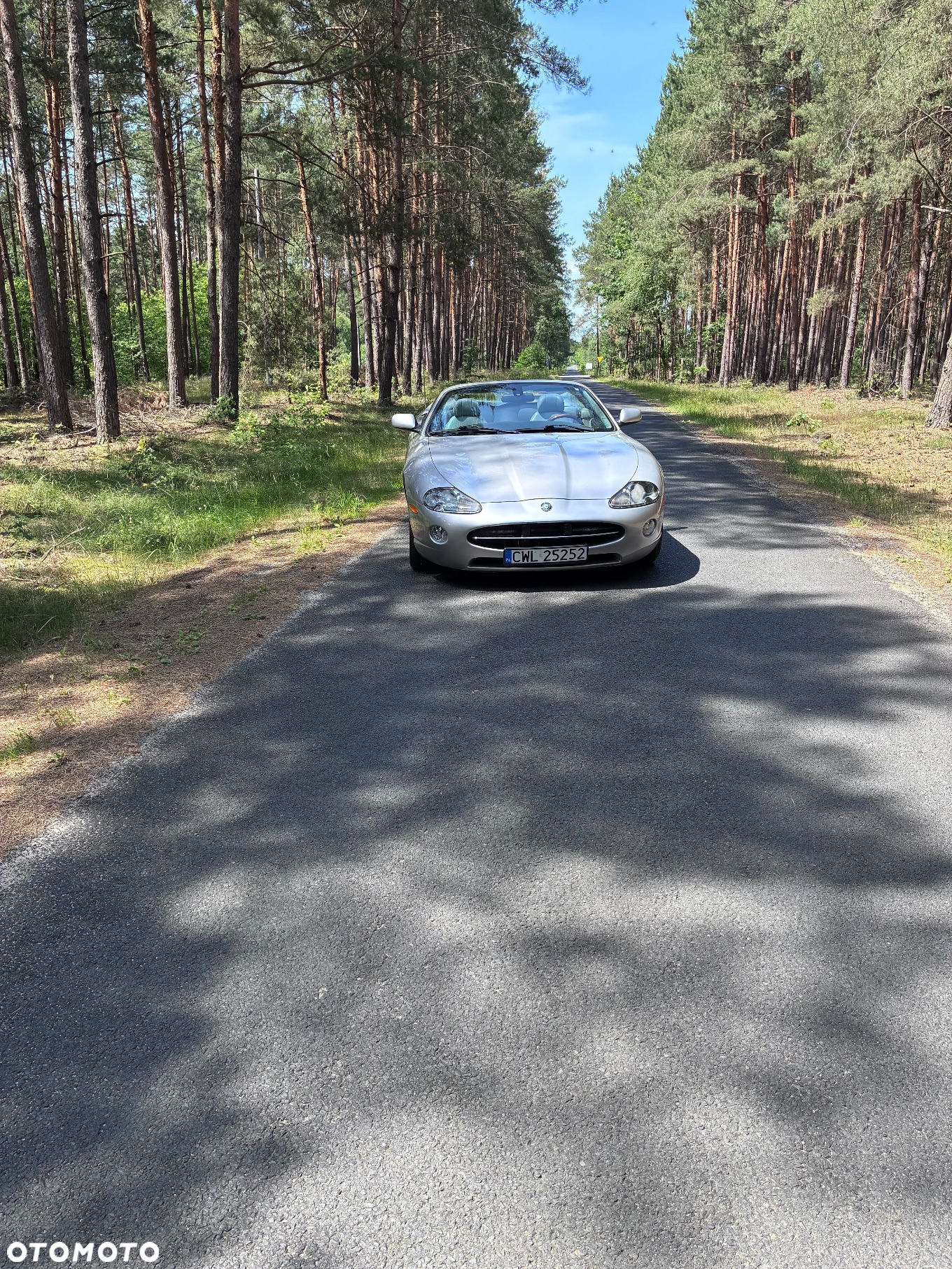Jaguar XK8 Cabriolet - 21