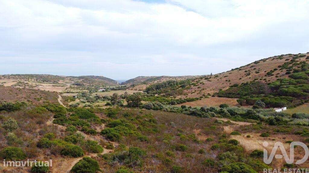 Terreno em Budens de 10040,00 m2 - Grande imagem: 3/30