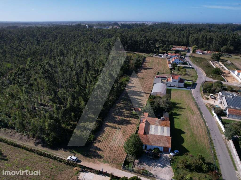 Terreno para construção de moradia a 10 minutos de Aveiro! - Grande imagem: 5/10