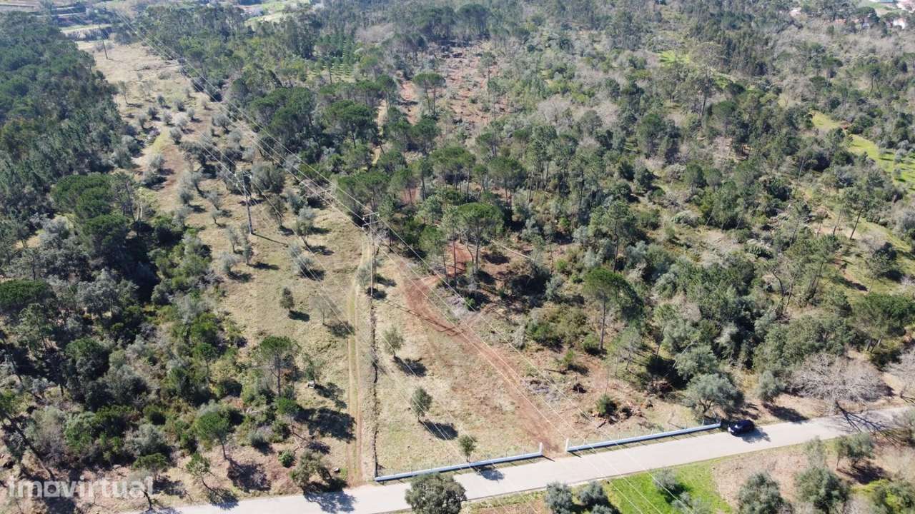 Terreno com 19.130 m2 e frente de estrada – Orelhudo, Cernache | A pou - Grande imagem: 2/11