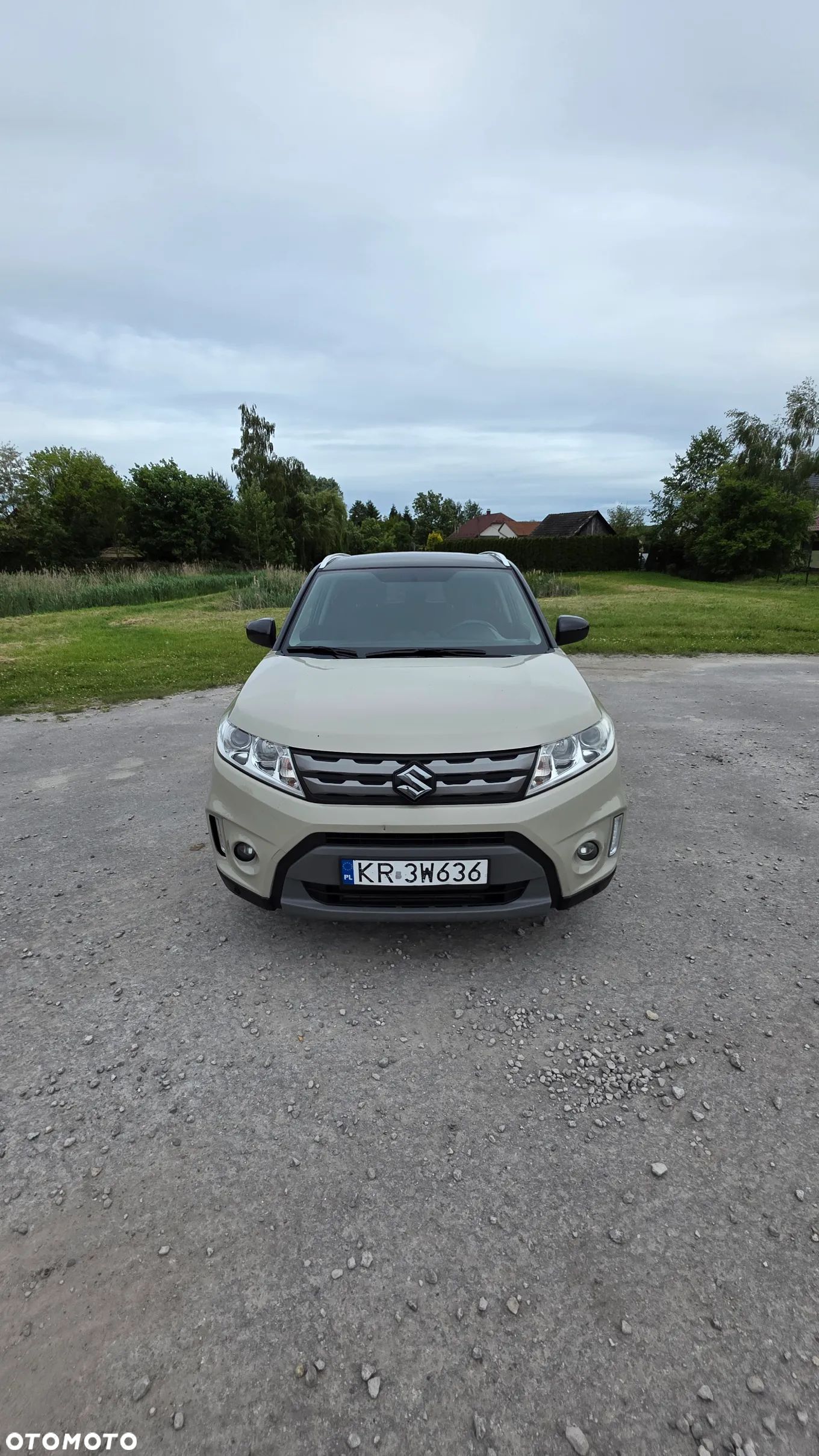 Suzuki Vitara - 1
