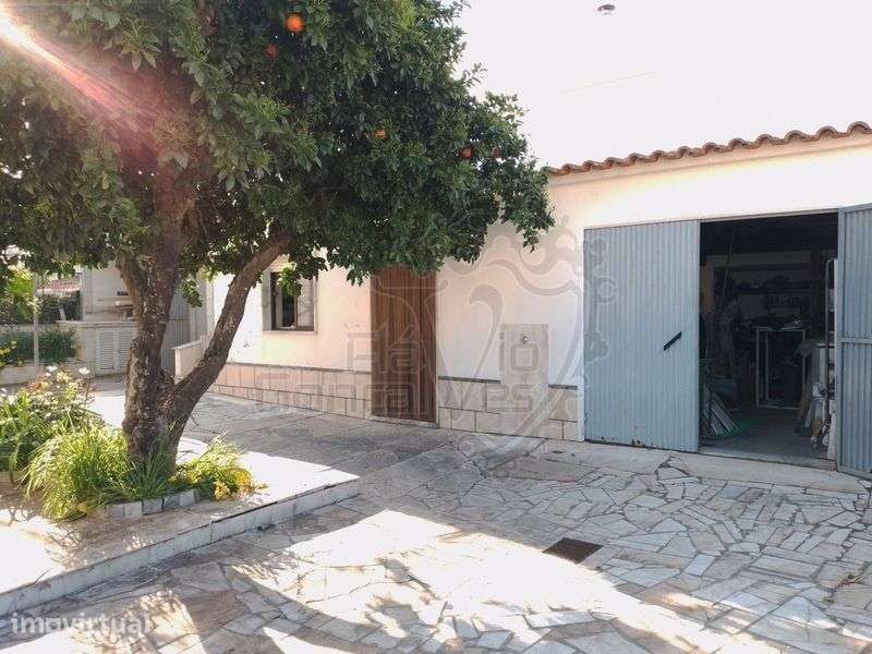 Moradia T7 para venda em Estremoz - Grande imagem: 2/12