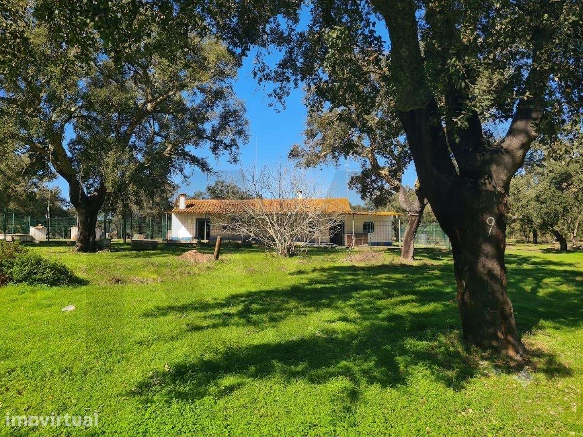 Quinta com 12,55 hectares e elevado potencial construtivo | Foros do L - Grande imagem: 3/27
