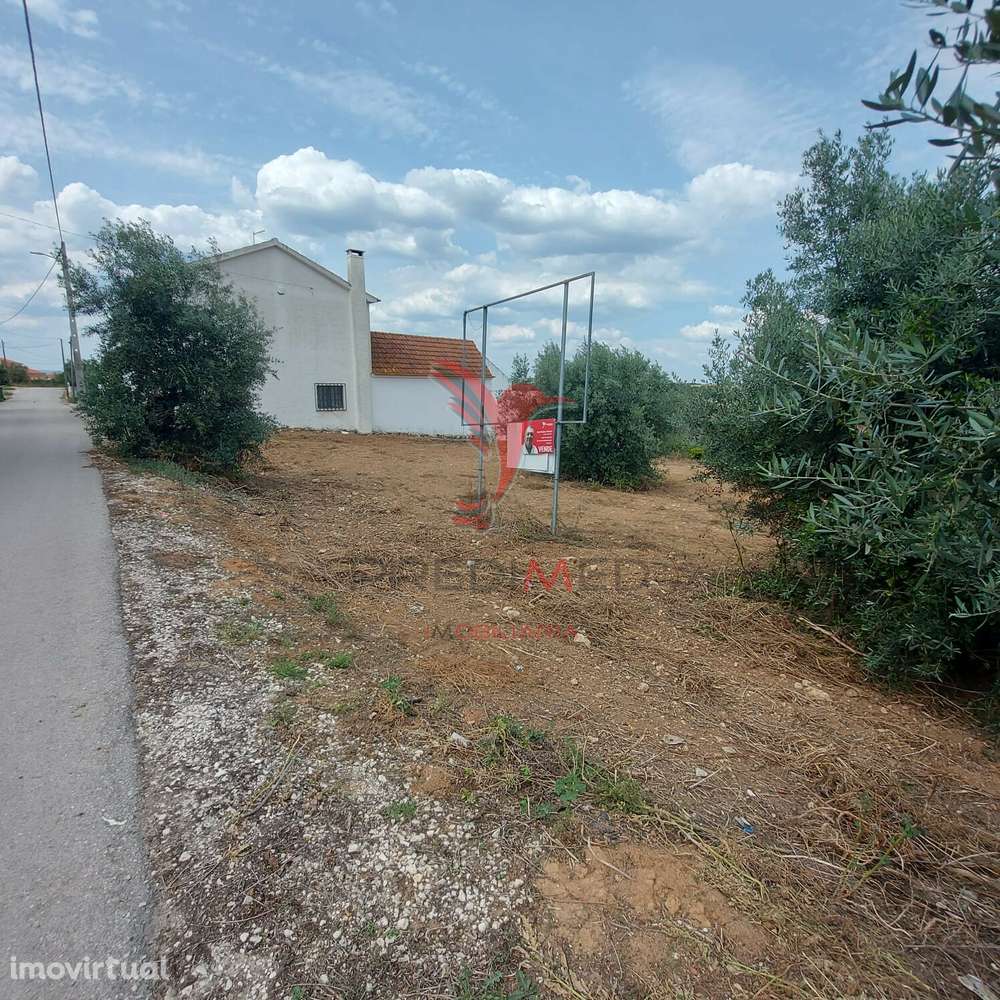 Terreno Rústico com viabilidade em Abitureiras, Santarém. - Grande imagem: 5/14