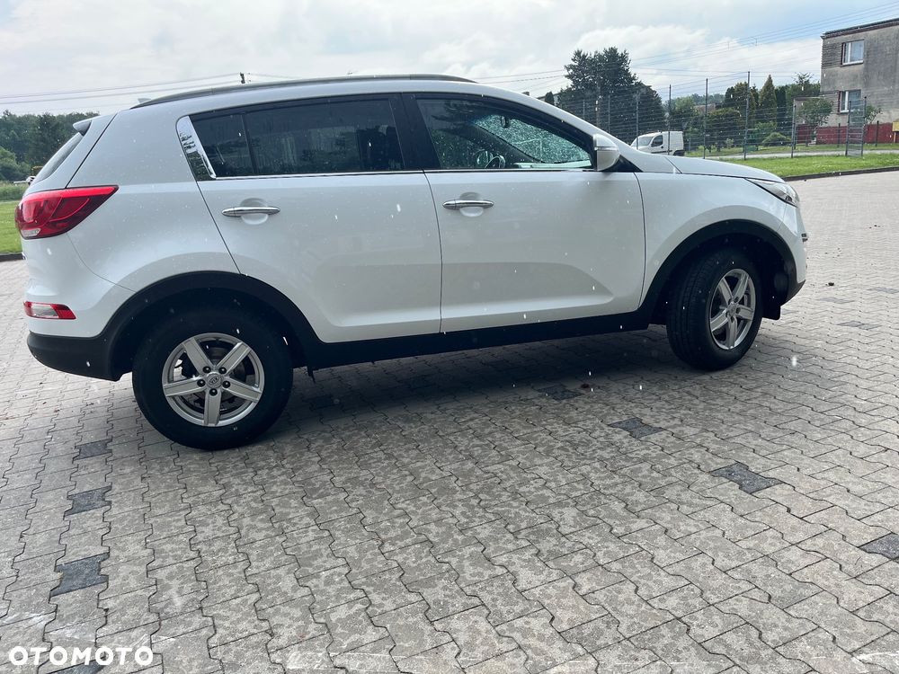 Kia Sportage 1.6 GDI Business Line M 2WD - 28