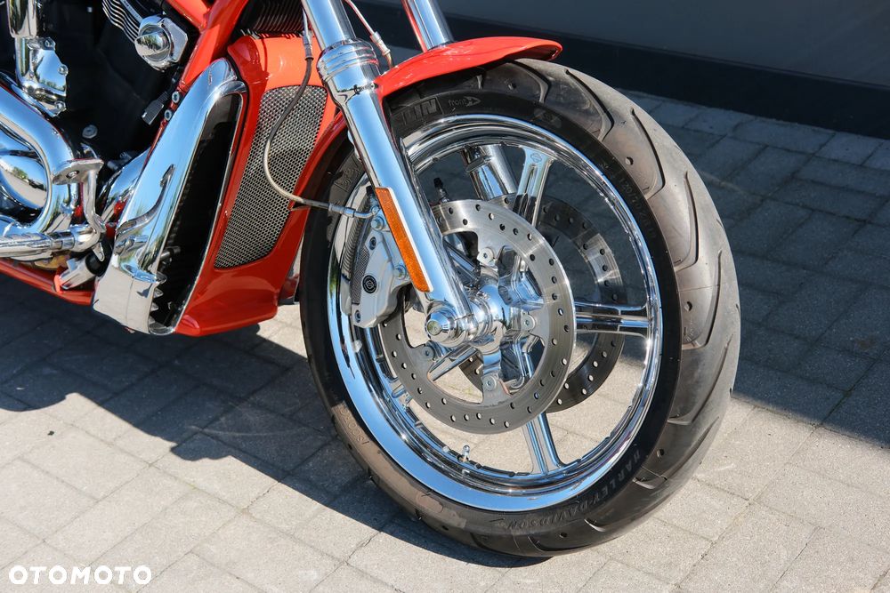 Harley-Davidson Softail V-Rod - 7