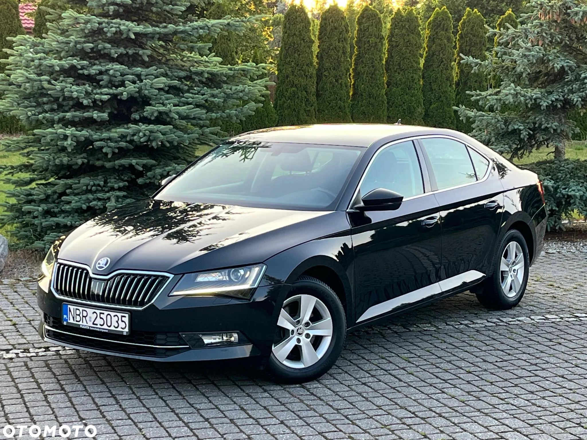 Skoda Superb - 19