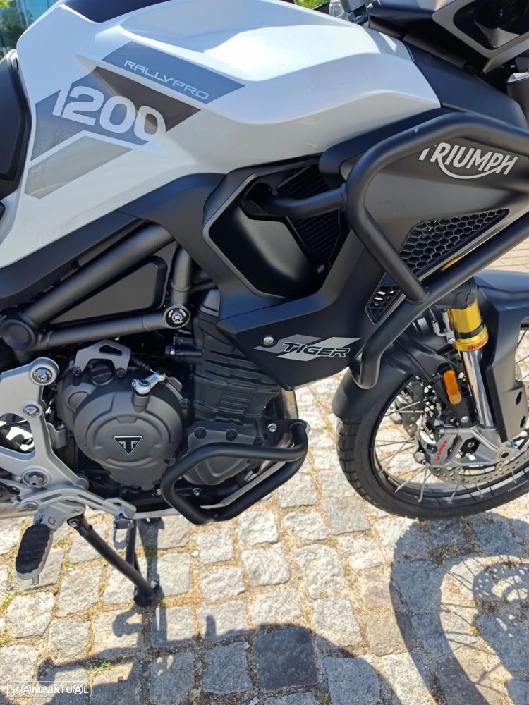 Triumph Tiger Rally Pro - 9