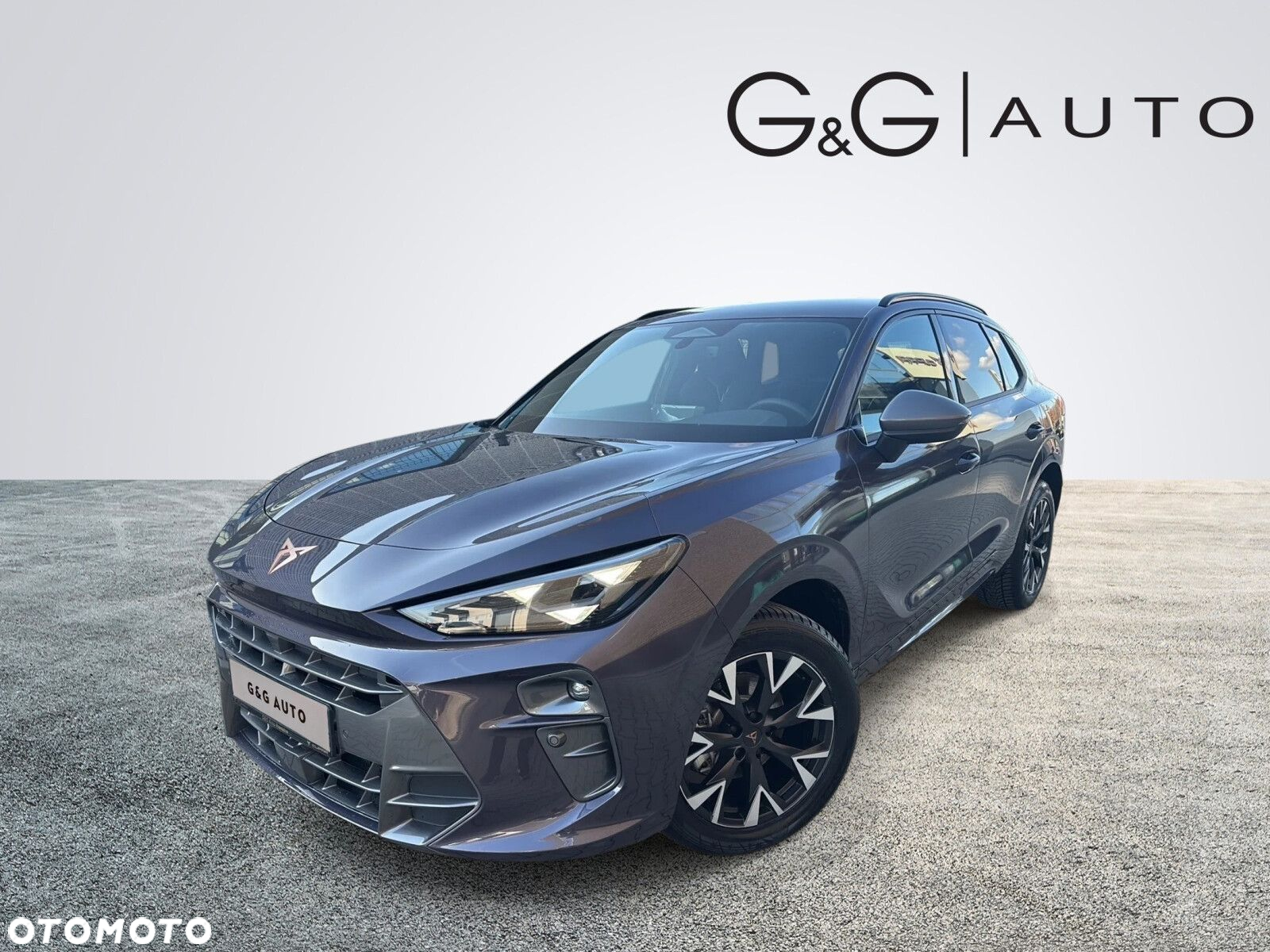 Cupra Terramar - 2