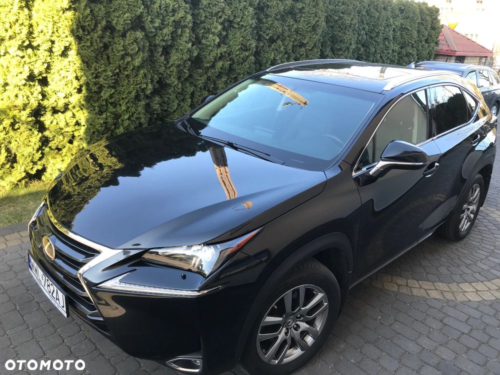 Lexus NX 200t Prestige AWD - 2