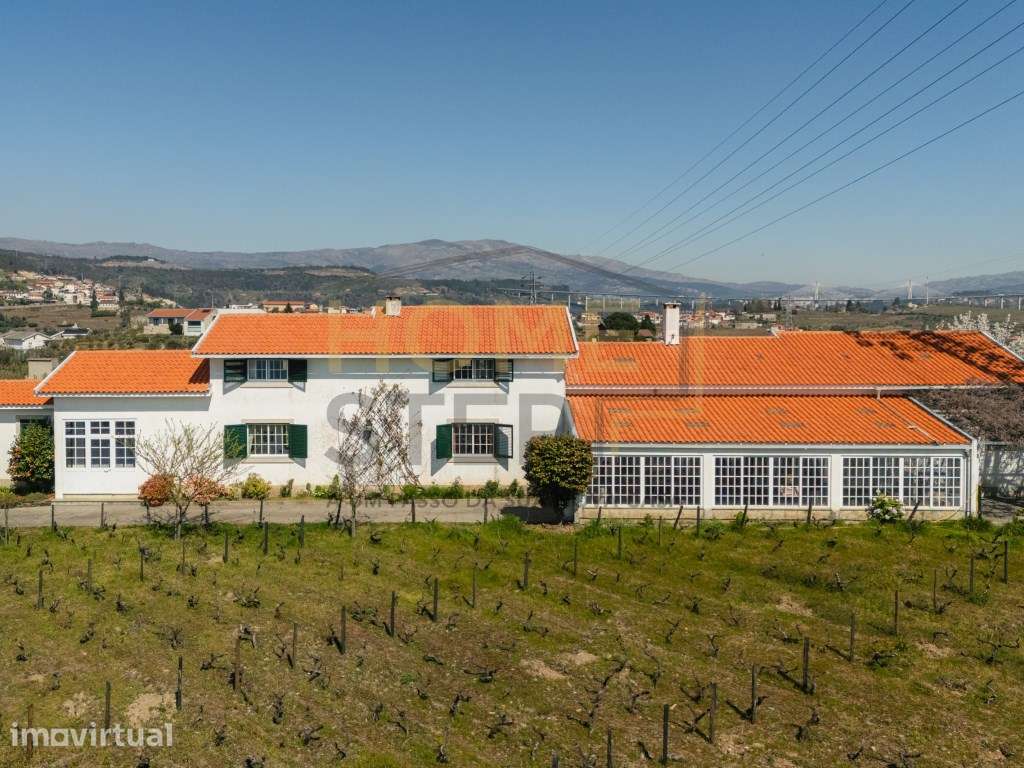 Quinta T4 com Vinhas e Oliveiras, em Santa Marta de Penaguião - Douro - Grande imagem: 2/60
