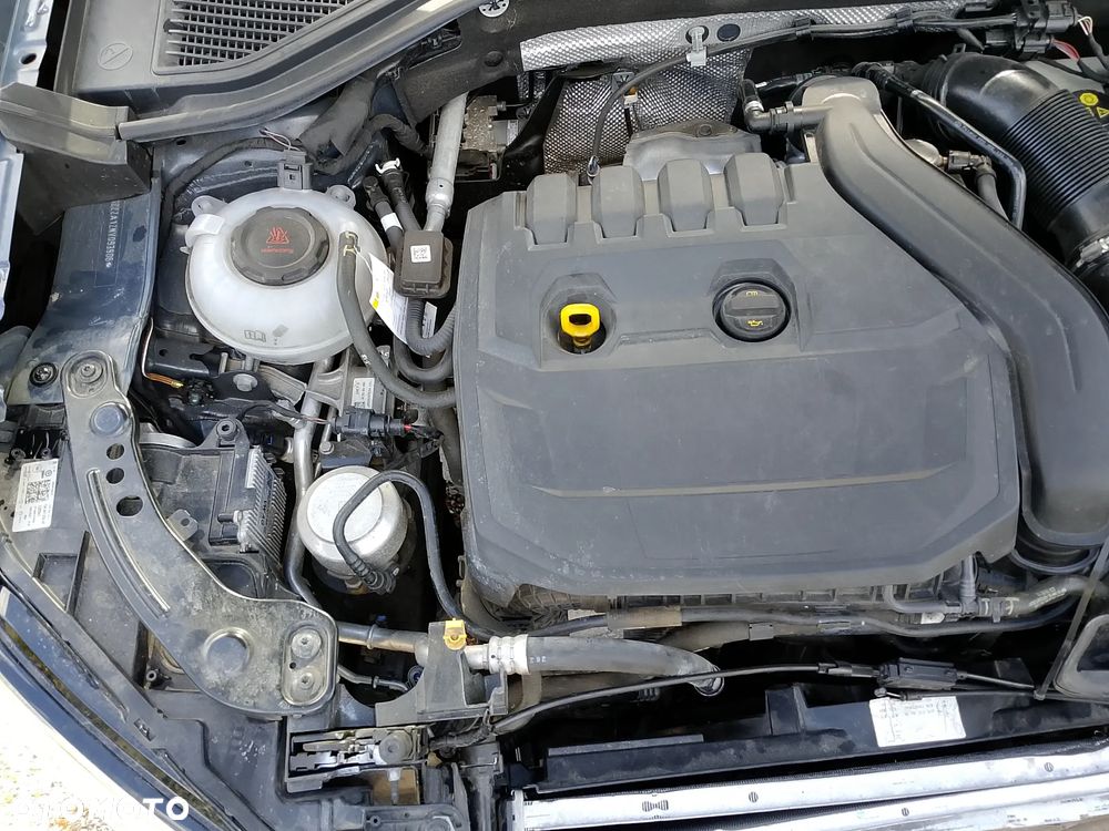 Volkswagen T-Roc - 17