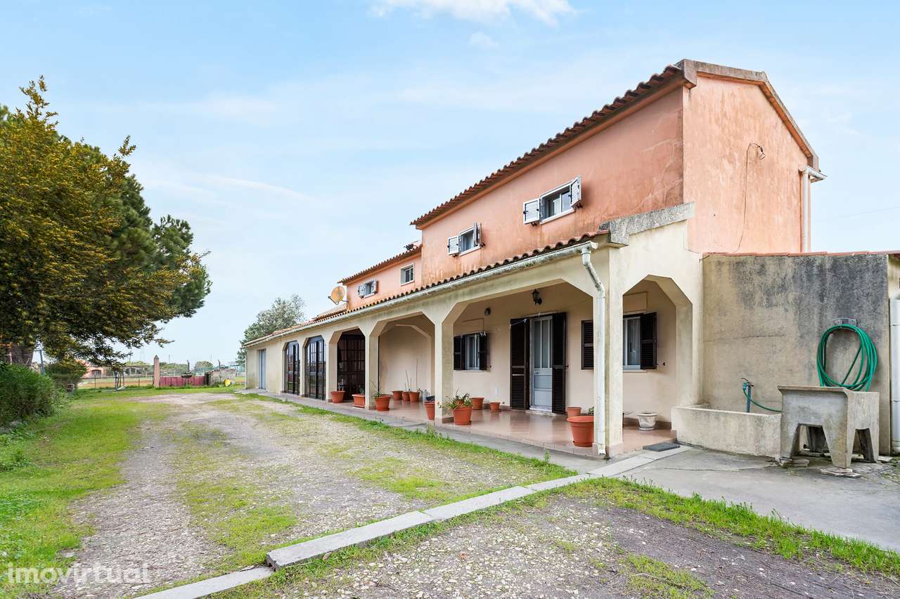 Quinta de 5.000m2 com moradia - Grande imagem: 2/15