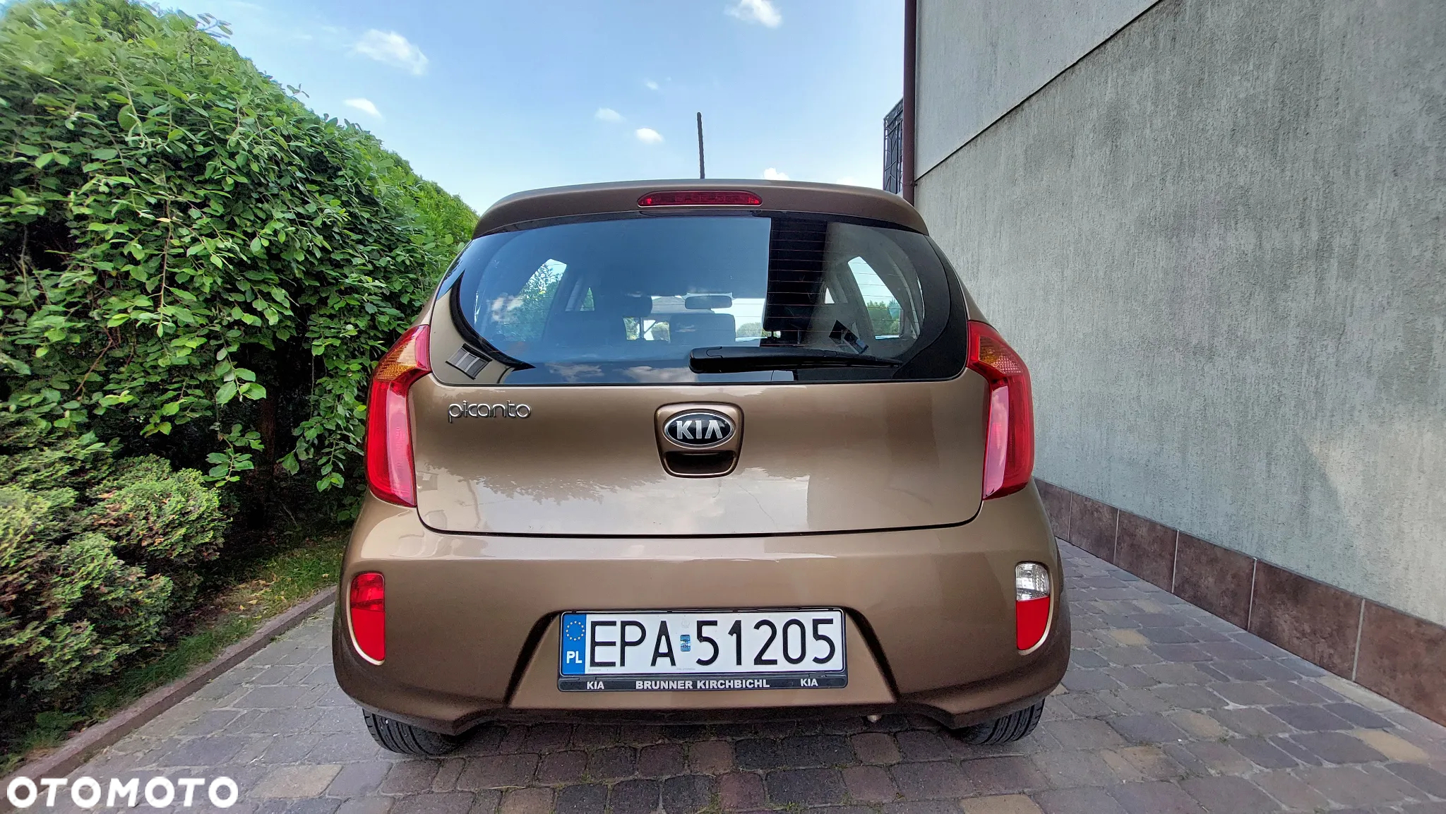 Kia Picanto 1.0 Dream Team Edition - 7