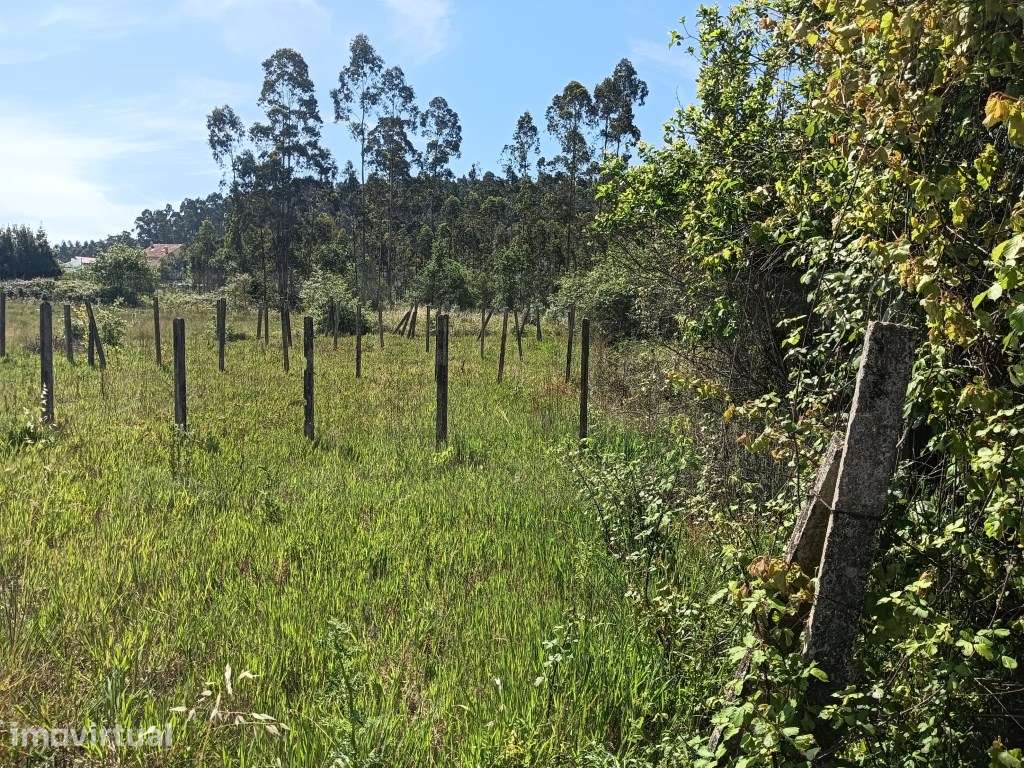 Terreno para construção de moradia - Oliveira do Bairro - Grande imagem: 2/21