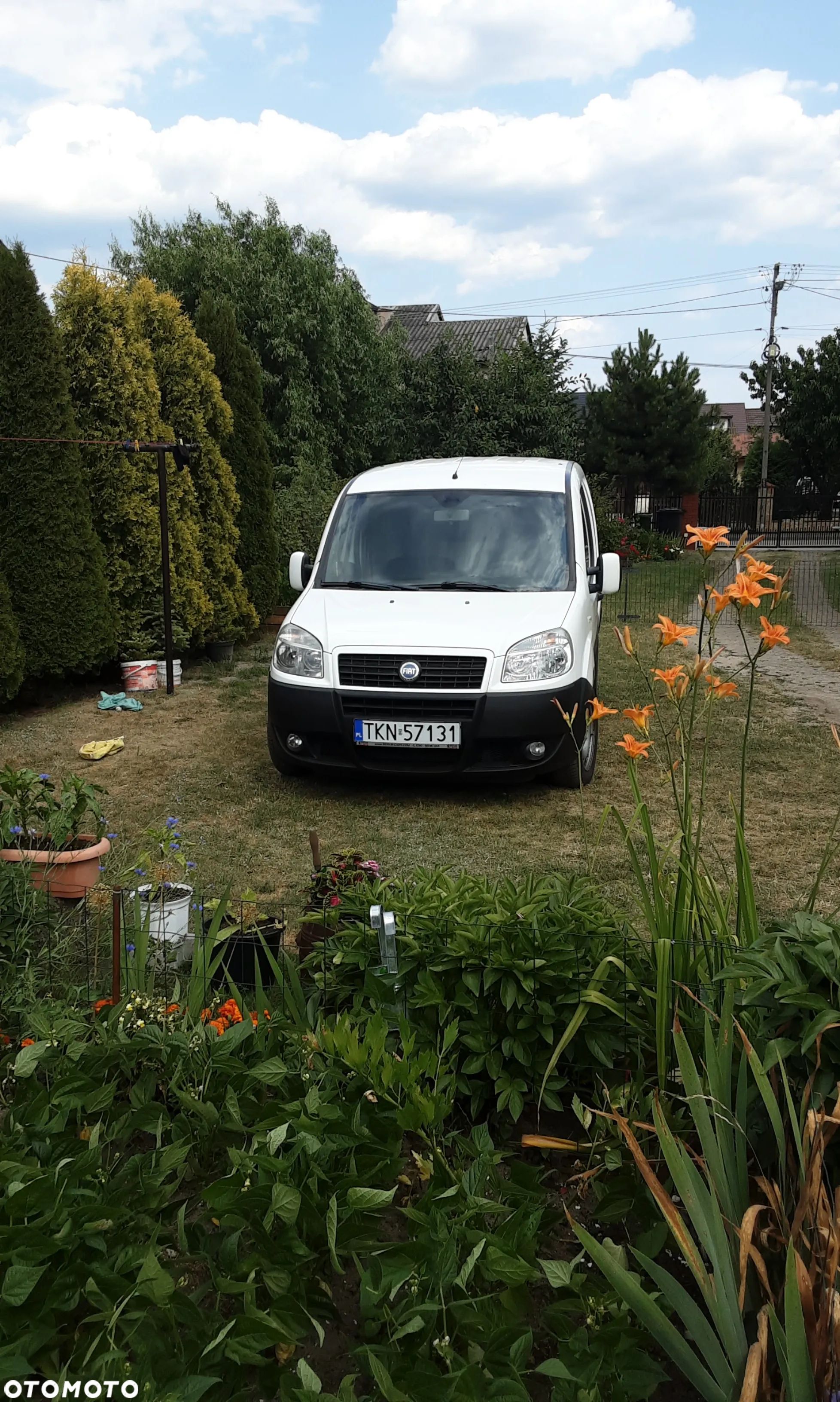 Fiat Doblo - 1