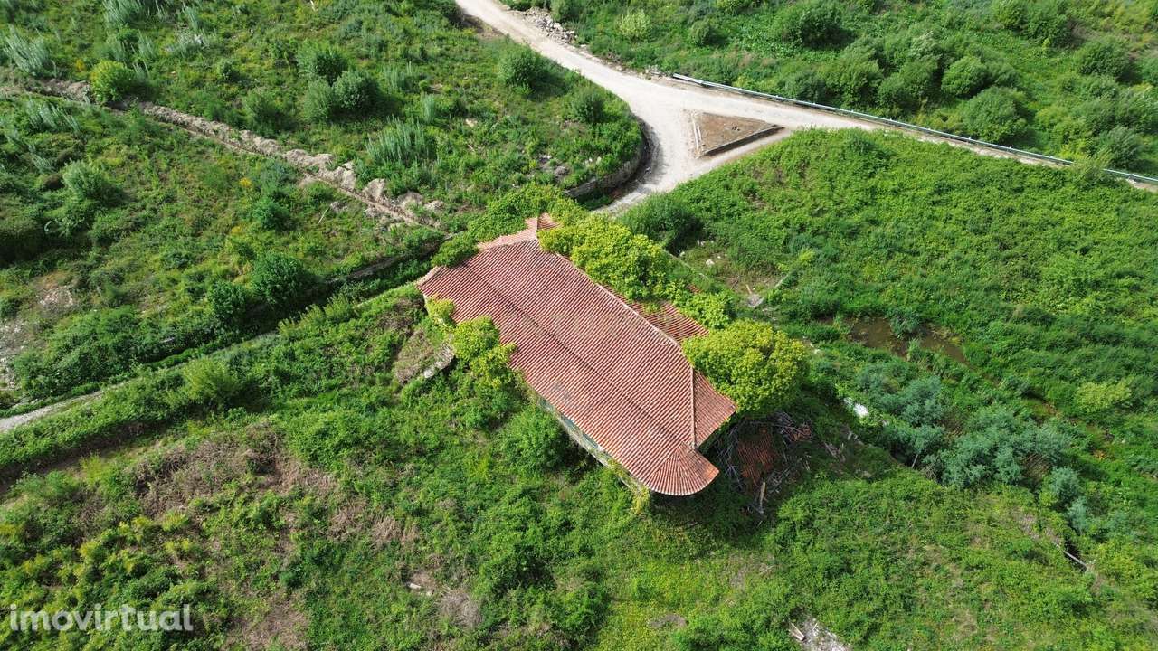 Quinta de Guadalupe /Quinta de Vila Fria – Uma propriedade histórica c - Grande imagem: 5/45