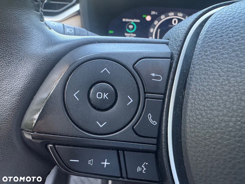 Toyota RAV4 2.5 Hybrid Executive 4x4 - 19