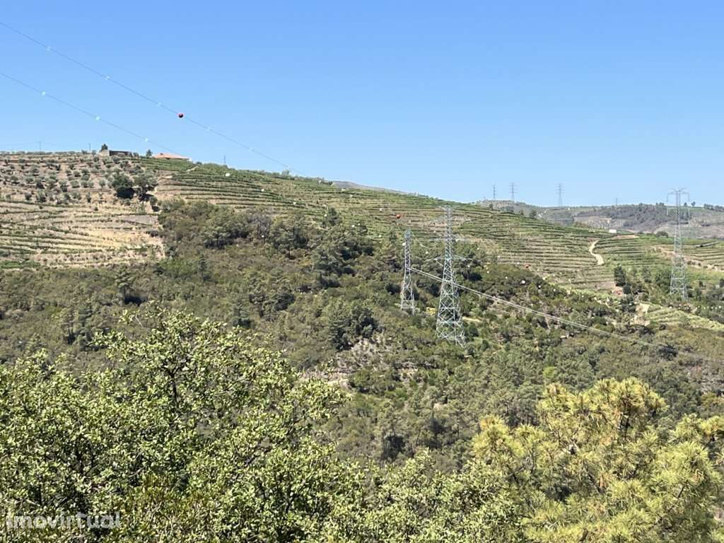 Terreno em Armamar, Vila Seca - Grande imagem: 2/9