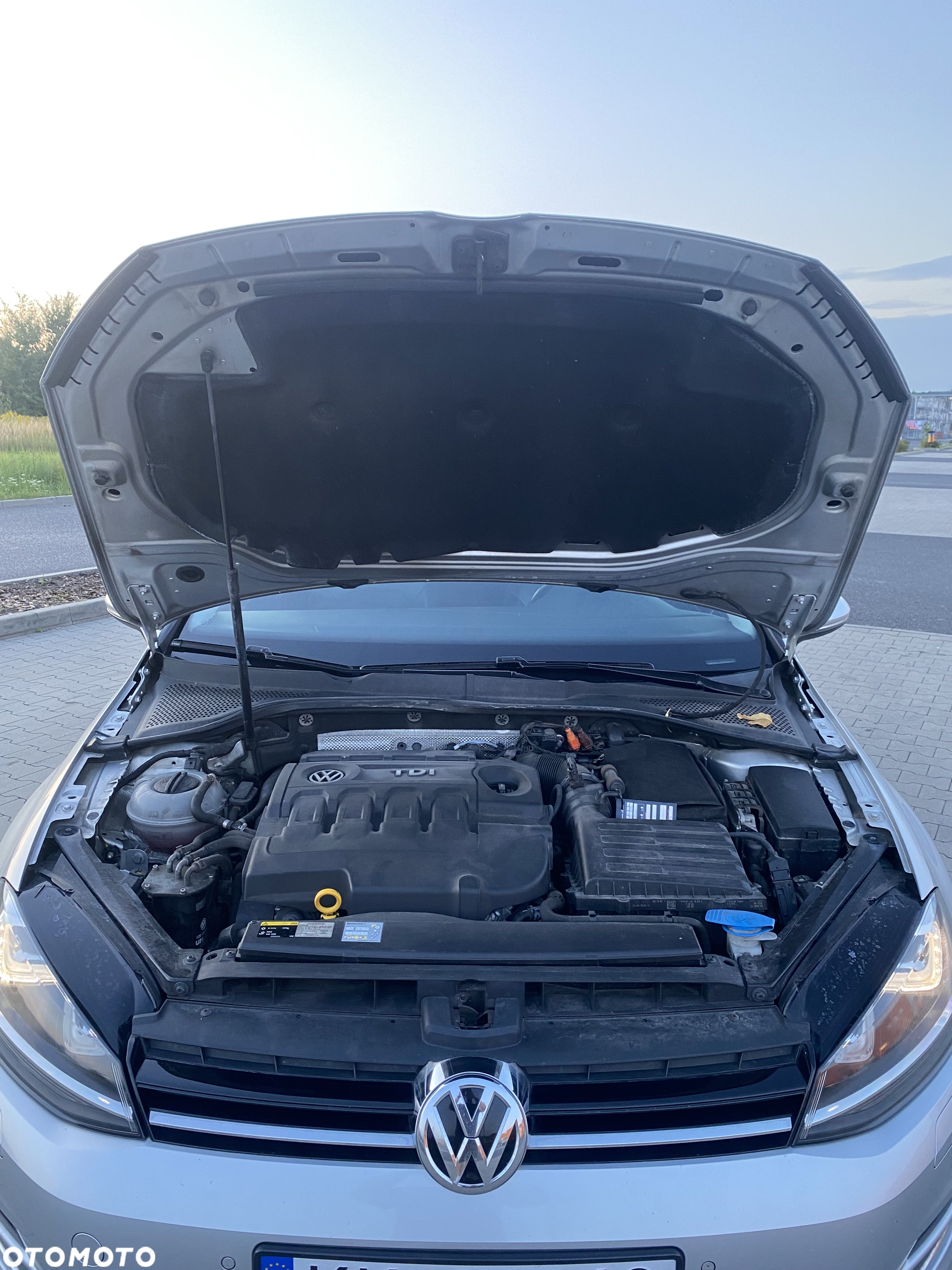 Volkswagen Golf - 9