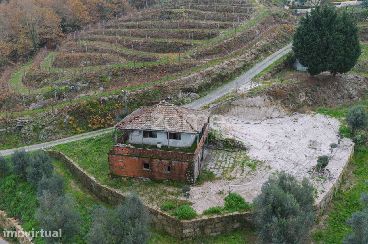 Quinta com vinha e árvores de fruto | Projeto ideal para turismo ru... - Grande imagem: 2/32