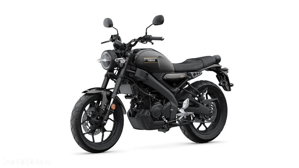 Yamaha XSR - 13