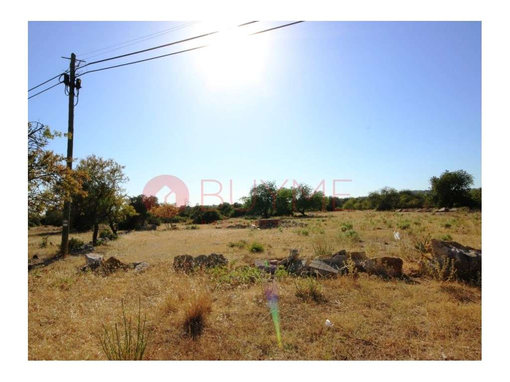 Terreno Rústico Plano em Boliqueime com Potencial de Desenvolvimento - Grande imagem: 4/4