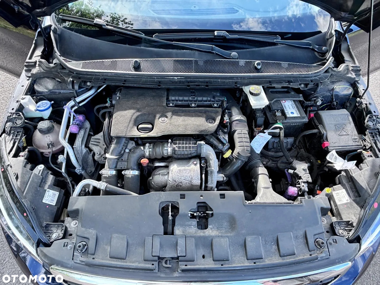 Peugeot 308 SW BlueHDi 120 Stop & Start Active - 22