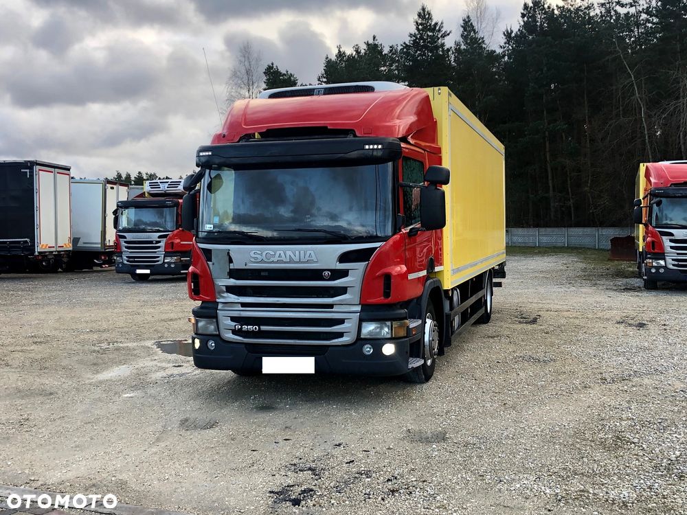 Scania Scanie / Chłodnie / Mroźnie / Salon RP / 15 EUROPALET / WINDA - 7