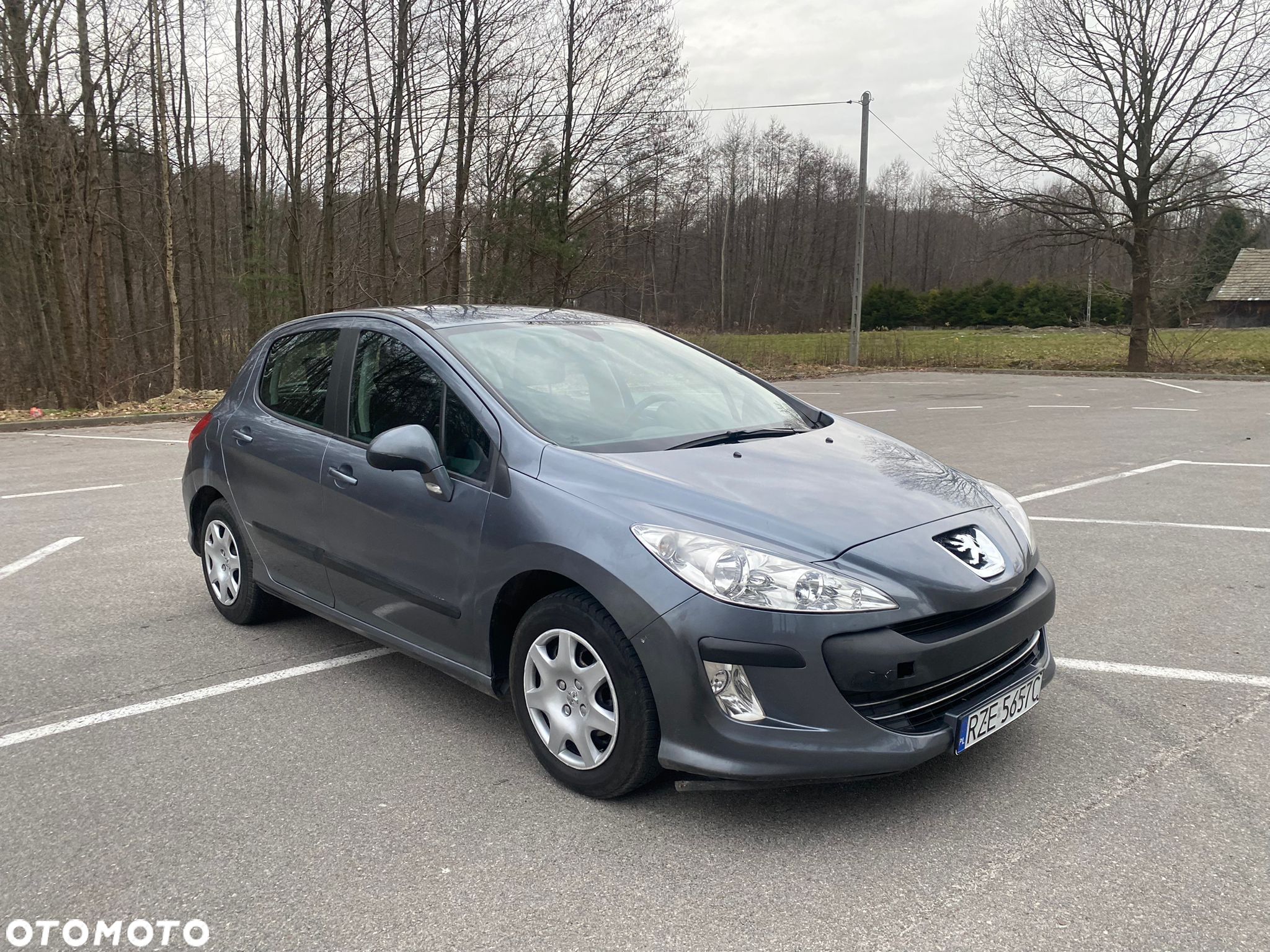 Peugeot 308 - 1