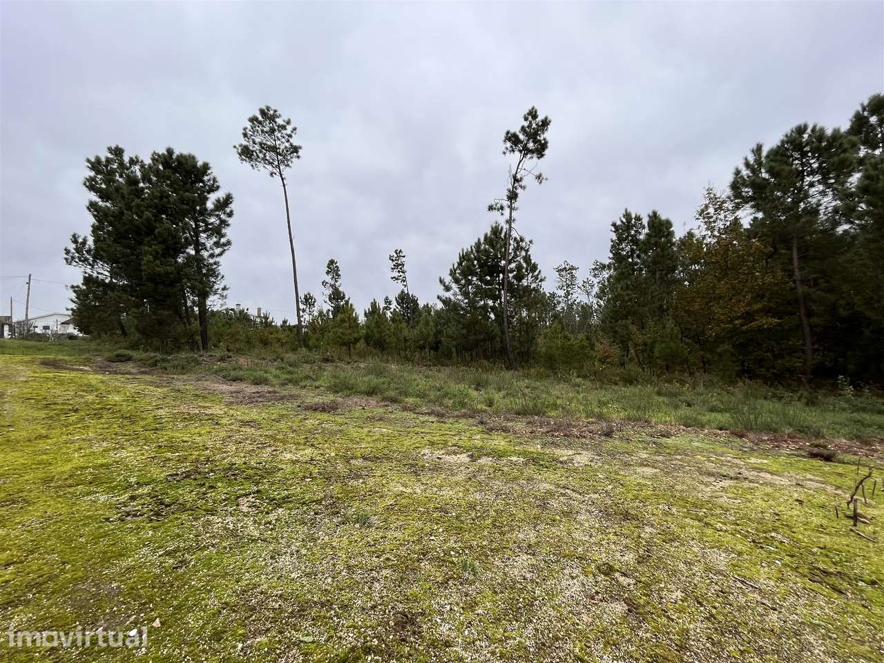 Terreno Para Construção  Venda em Rio de Loba,Viseu - Grande imagem: 4/15