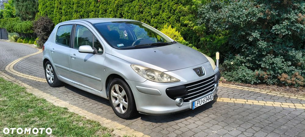 Peugeot 307 1.6 Oxygo - 11