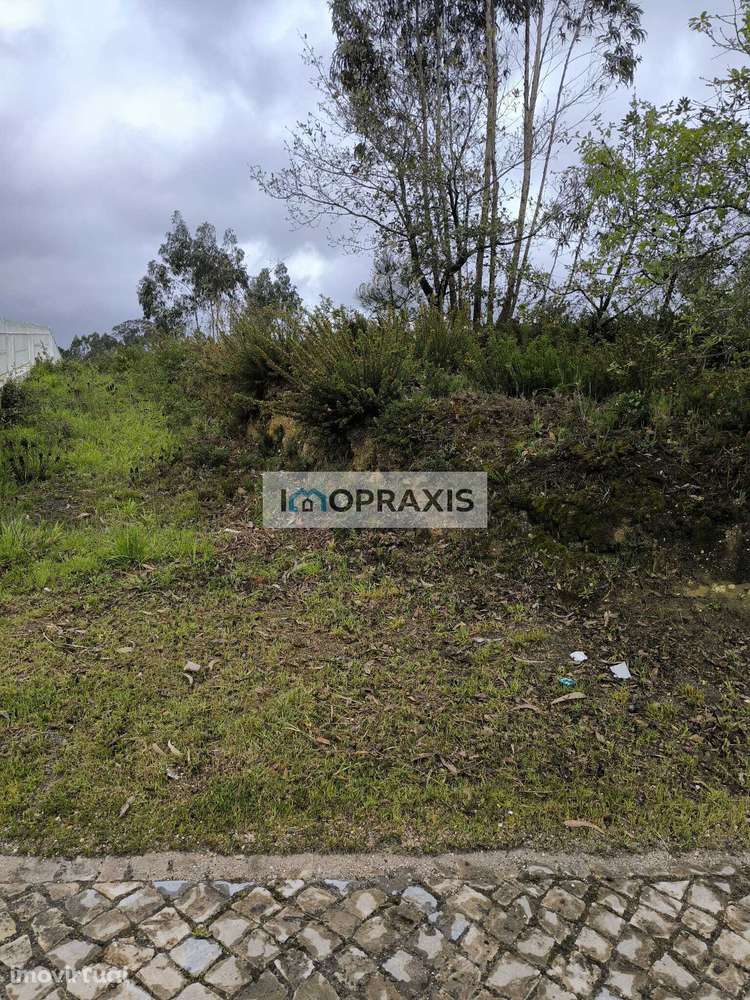 Terreno para construção em Carriço, Barracão -Leiria - Grande imagem: 4/6