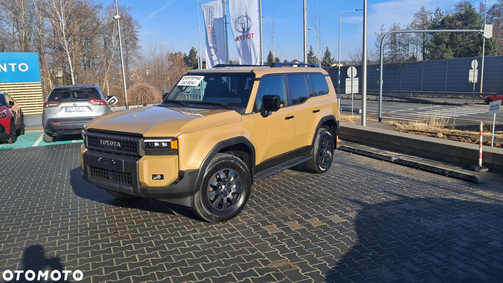 Toyota Land Cruiser - 9