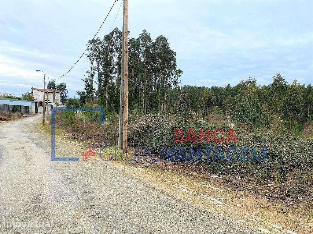 Terreno misto - Sandim, Vila Nova de Gaia - Grande imagem: 3/6