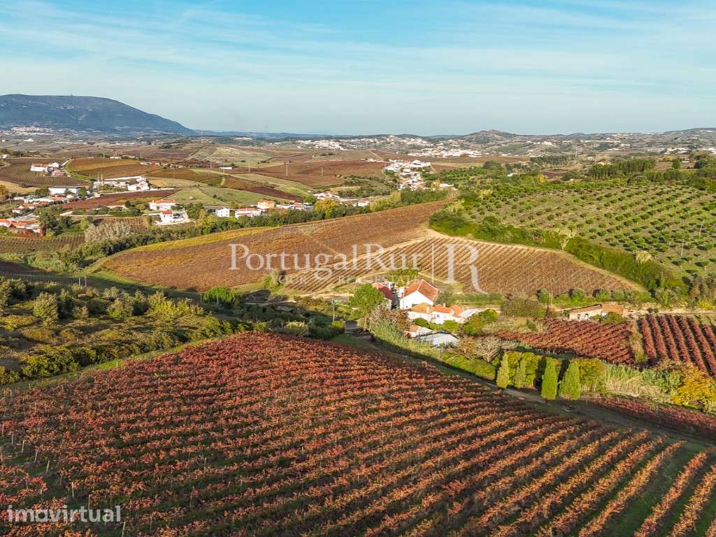 Quinta vitivinicola centenária com 34,5 hectares em Alenquer, Lisboa - Grande imagem: 4/56