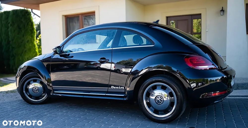 Volkswagen Beetle - 22